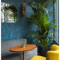 Hôtel André Latin - Photos